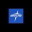 Medline Inc logo